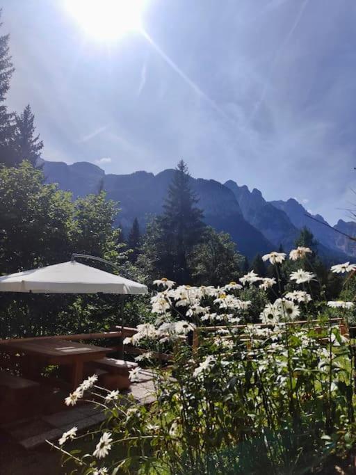 Appartamento Sulle Piste Folgarida Exteriér fotografie
