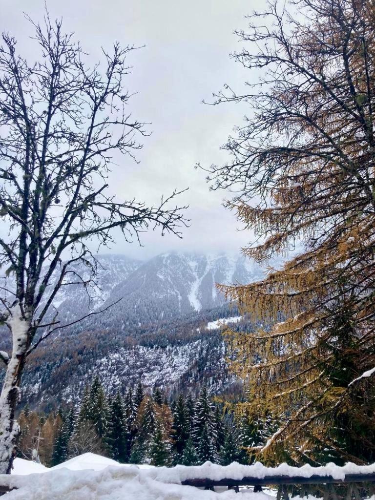 Appartamento Sulle Piste Folgarida Exteriér fotografie